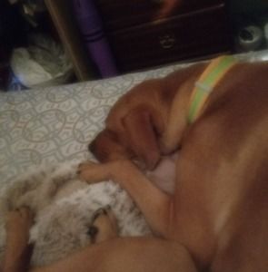 Meet your Posher, Patty